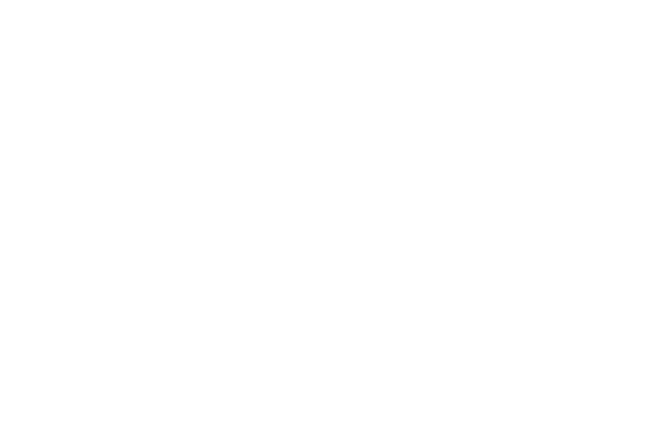 Fender Studio